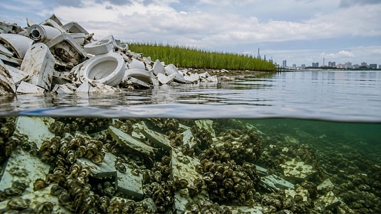 5,000 Old Toilets Crushed to Create a New Marine Habitat