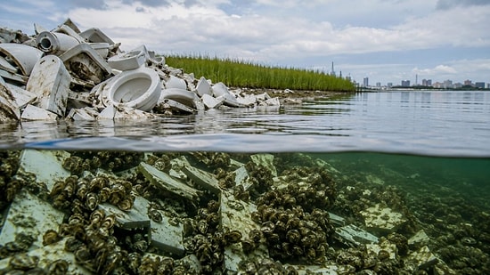 5,000 Old Toilets Crushed to Create a New Marine Habitat