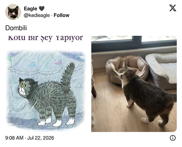 Akraba olabilirler...