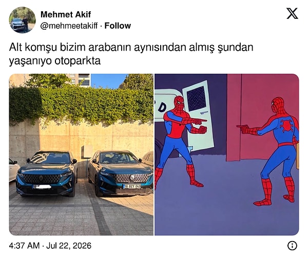 Pişti olmuşlar.