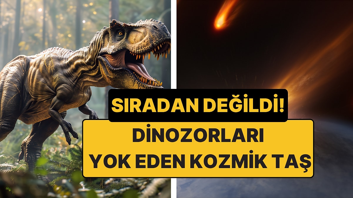 Dinozorları Yok Eden Kozmik Tesadüf: Dünya’nın Kaderini Değiştiren Taş Sıradan Değildi