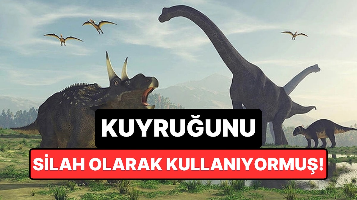 Hindistan'da Bulunan 190 Milyon Yıllık Fosil, Dinozor Tarihini Değiştirdi