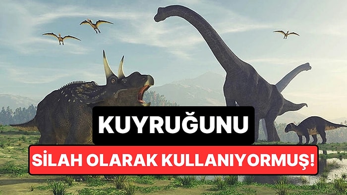 Hindistan'da Bulunan 190 Milyon Yıllık Fosil, Dinozor Tarihini Değiştirdi