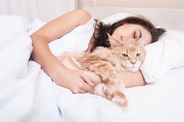 Yanınızda uyuyan kedi kendisini güvende hissediyor