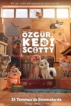 Özgür Kedi Scotty