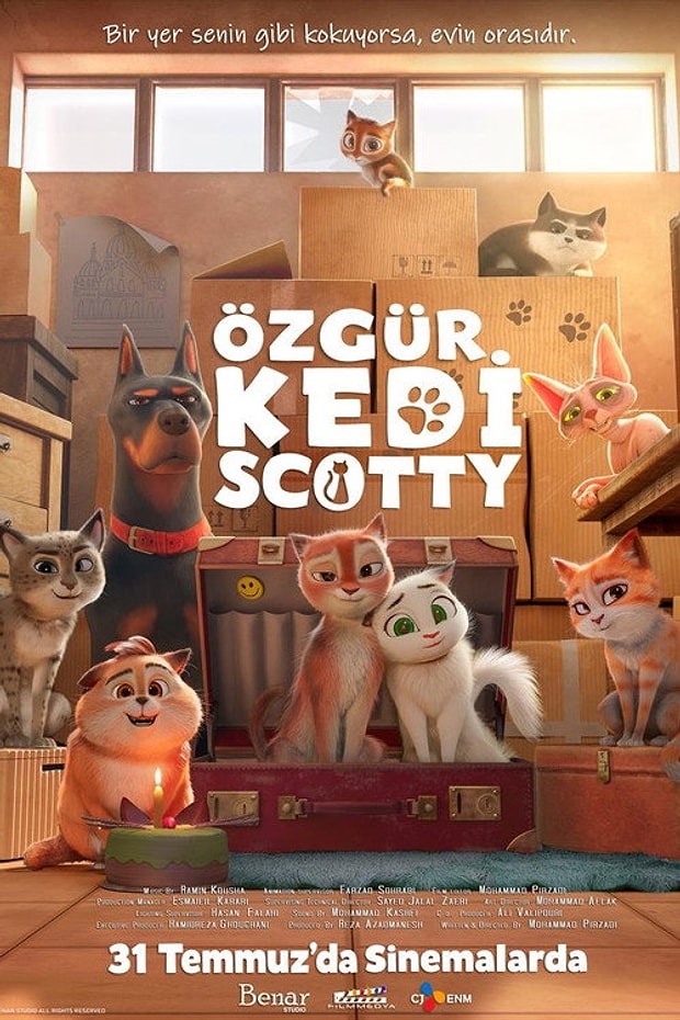 Özgür Kedi Scotty Posteri