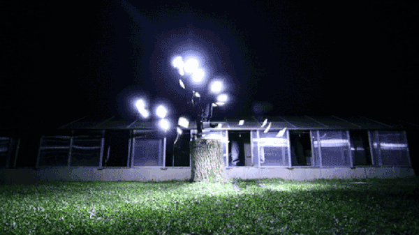 Warning Signs You Are a Victim of Floodlighting, the New Manipulation Method