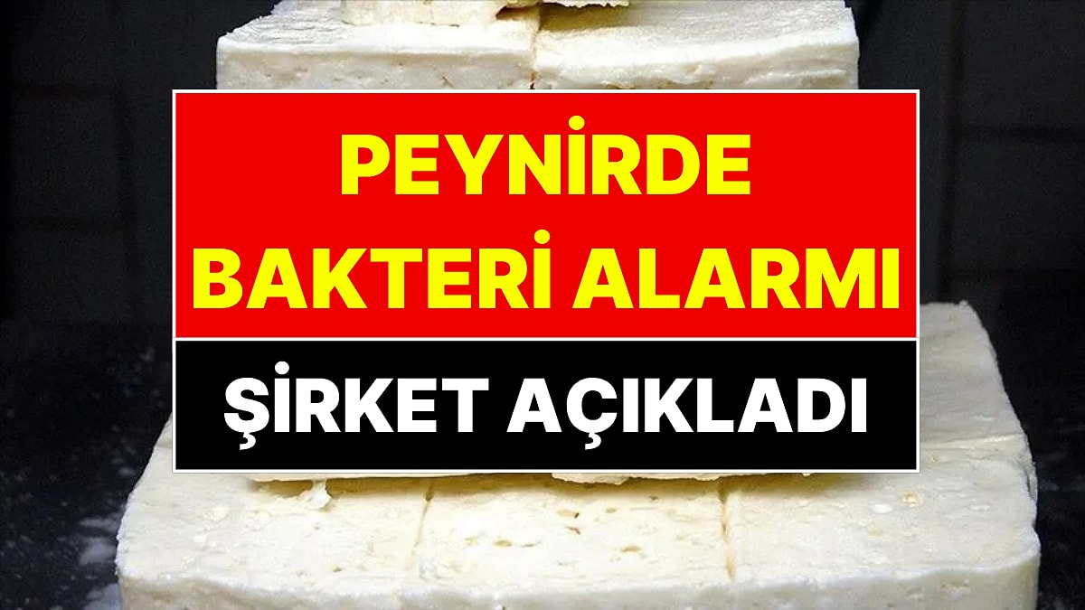 Beyaz Peynirinden Listeria Bakterisi Çıkan Tahsildaroğlu'ndan Açıklama