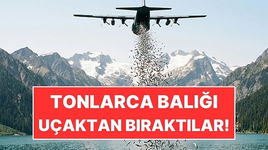 Kara Yoluyla Ulaşamayınca Balıkları Uçaktan Bıraktılar