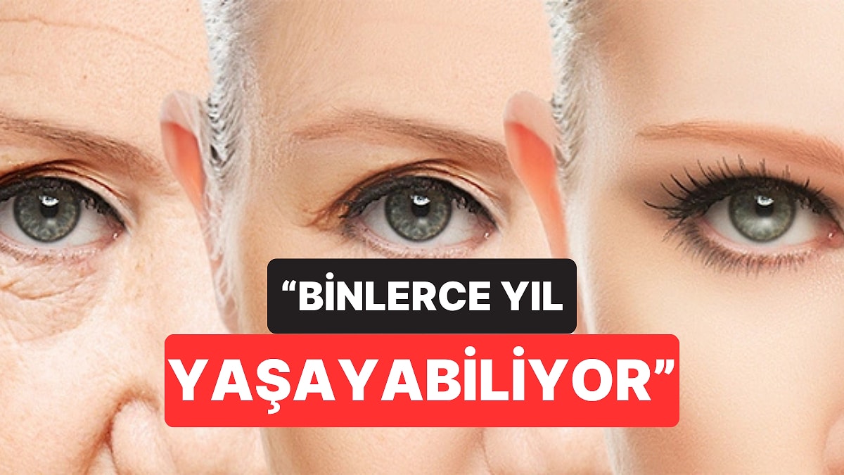Bilim İnsanları Hesapladı: Yaşlanma Dursa Bile İnsan Ömrünün Bir Sınırı Var
