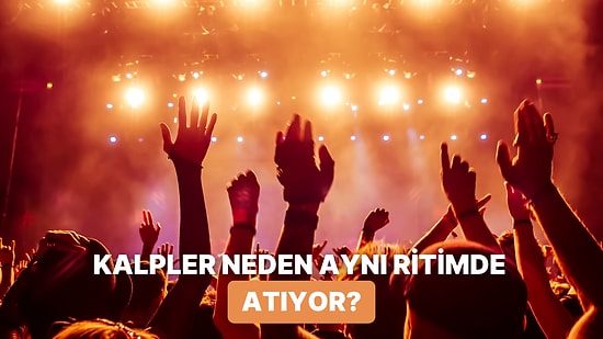 Konserlerde Ses Tonu Yükseldiğinde Kalp Atışları Neden Senkronize Oluyor?
