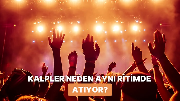 Konserlerde Ses Tonu Yükseldiğinde Kalp Atışları Neden Senkronize Oluyor?