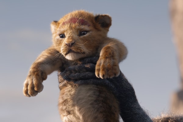 8. 2019 yapımı The Lion King (Aslan Kral) filminde hangi karakteri seslendirdi?