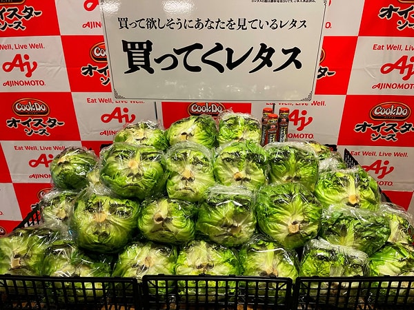 Of the respondents, 65.6% reported discarding lettuce.