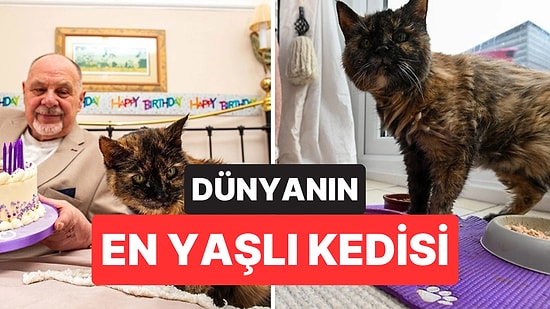 31 Yaşındaki Kedinin Uzun Yaşam Sırrı Ortaya Çıktı: Her Gün Aynı Suyu İçiyor
