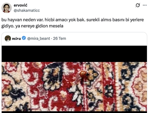 Hayatı sorguluyor.