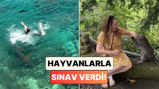 Köpek Balıkları, Yılanlar, Maymunlar: Hayalindeki Dünya Turuna Çıkan Kadının Başına Gelmeyen Kalmadı