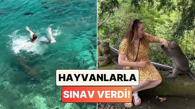 Köpek Balıkları, Yılanlar, Maymunlar: Hayalindeki Dünya Turuna Çıkan Kadının Başına Gelmeyen Kalmadı