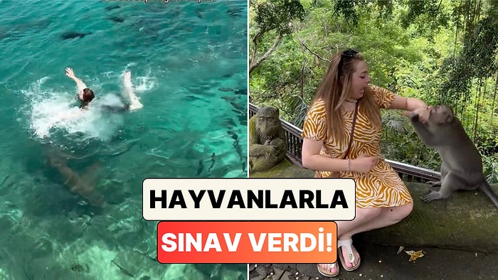 Köpek Balıkları, Yılanlar, Maymunlar: Hayalindeki Dünya Turuna Çıkan Kadının Başına Gelmeyen Kalmadı