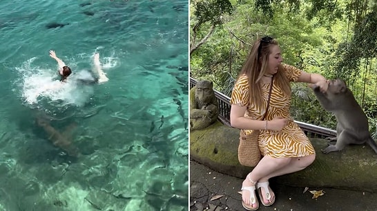 Sharks, Snakes, and Monkeys: Woman Faces Endless Chaos on Her Dream World Tour