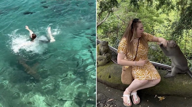 Sharks, Snakes, and Monkeys: Woman Faces Endless Chaos on Her Dream World Tour