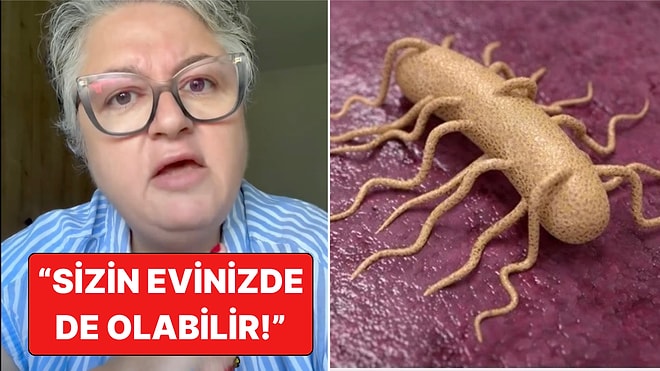 Sadece O Markada Yok! Uzman Gıda Mühendisi Tuğba Bayburtluoğlu Listeria Tehlikesini Anlattı