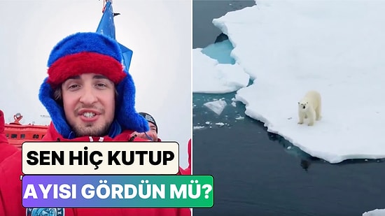 Türk Gezgin'e Rusya'dan Kuzey Kutbu'na Uzanan Yolculuğunda Dev Kutup Ayısı Sürprizi