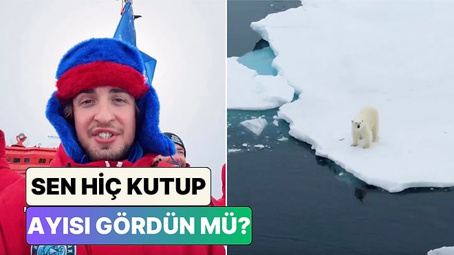 Türk Gezgin'e Rusya'dan Kuzey Kutbu'na Uzanan Yolculuğunda Dev Kutup Ayısı Sürprizi