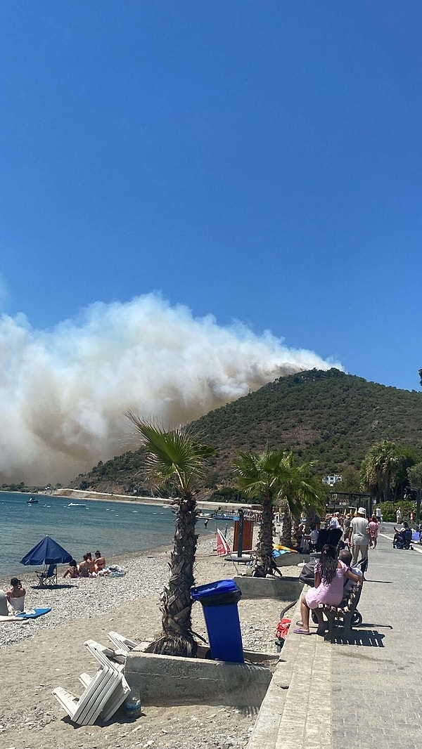 Balıkesir'de antik kent çevresinde orman yangını çıktı.
