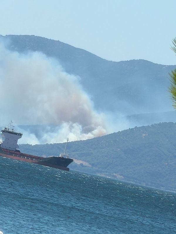 Yalova'da orman yangını.