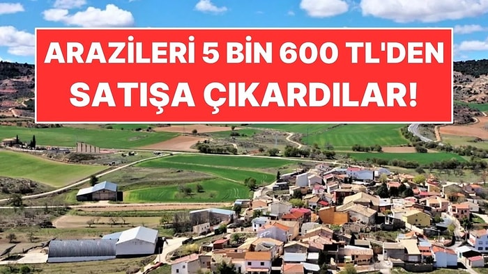 Kasabada 30 Kişi Kalınca Arazileri 5 Bin 600 TL'den Satışa Çıkardılar
