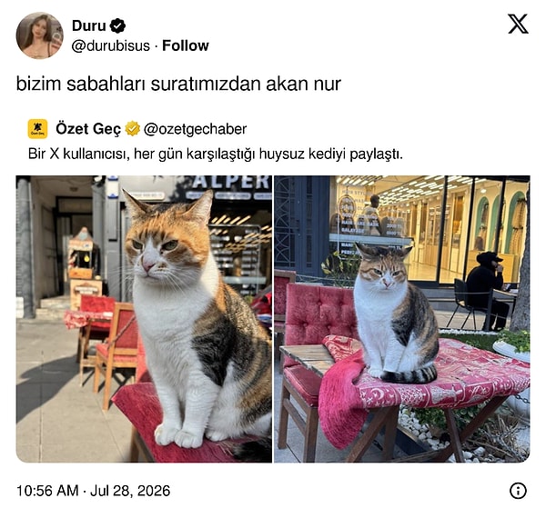 Pek neşeliyiz?