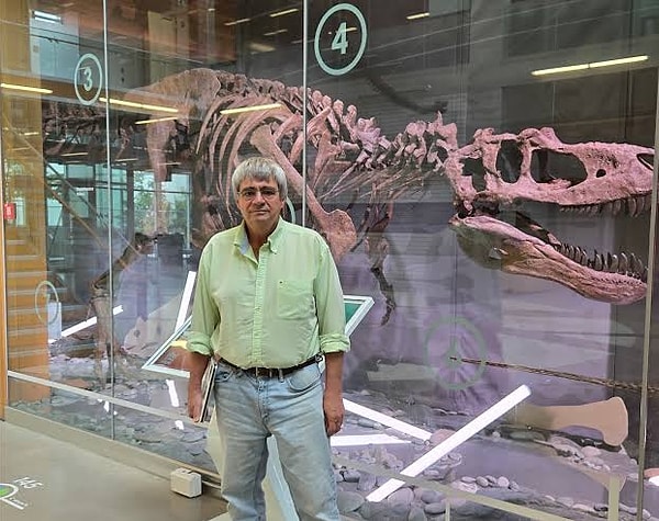 Was the End of Dinosaurs a "Cosmic Misfortune"?