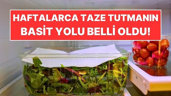 Yeşillikleri Haftalarca Taze Tutmanın Basit Yolu Belli Oldu