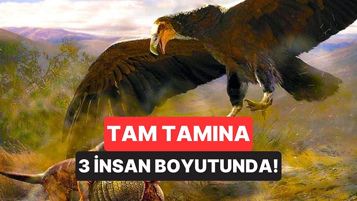 Dünyanın En Büyük Uçan Kuşu Tam 7 Metreydi