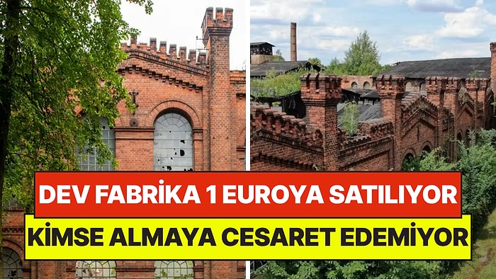Koca Fabrikayı 1 Euroya Satışa Çıkardılar: Tek Şartı Yüzünden Kimse Almaya Cesaret Edemiyor