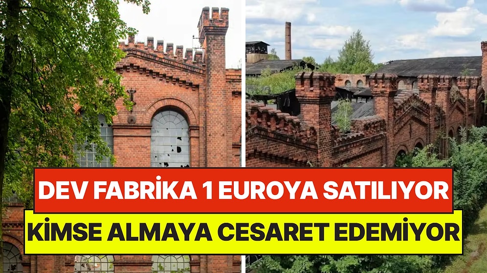 Koca Fabrikayı 1 Euroya Satışa Çıkardılar: Tek Şartı Yüzünden Kimse Almaya Cesaret Edemiyor