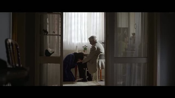 "Kesilmiş Bir Ağaç Gibi" filmi komite tarafından seçildi.