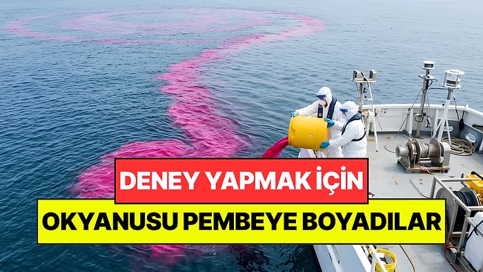Okyanusa 16 Bin Galon Kimyasal Döküp Pembeye Boyadılar: ABD'den Sıra Dışı Deney