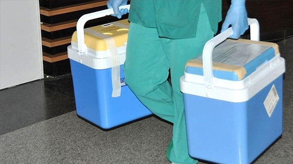 Giresun'da denizde boğulma tehlikesi geçirdikten sonra kaldırıldığı hastanede tedavi altına alınan 45 yaşındaki N.D.'nin beyin ölümü gerçekleşti.