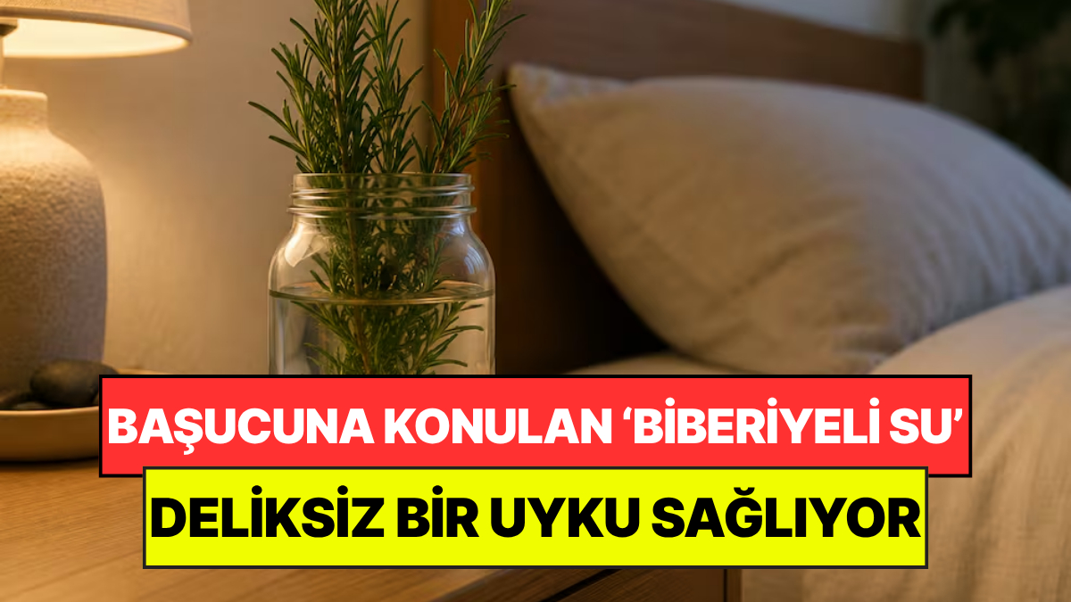 s-9bb3806f780a17524e656c2ef9e5fa0c4adc31ee.jpg