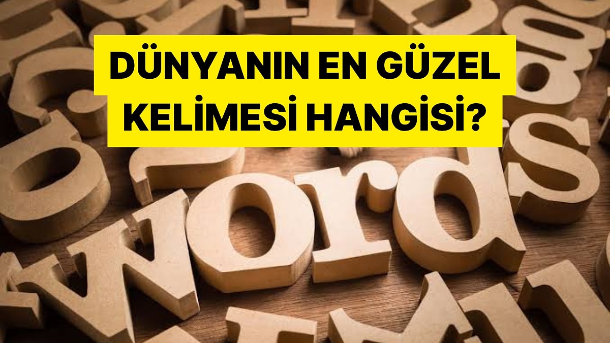 Dünyanın En Güzel ve Anlamlı Kelimesini Seçiyoruz!