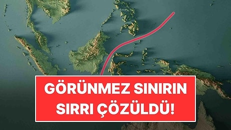 Hayvanların Milyonlarca Yıldır Aşamadığı Görünmez Sınırın Sırrı Çözüldü