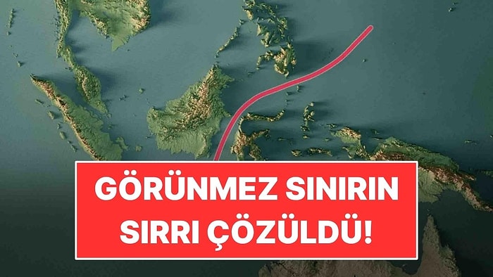Hayvanların Milyonlarca Yıldır Aşamadığı Görünmez Sınırın Sırrı Çözüldü