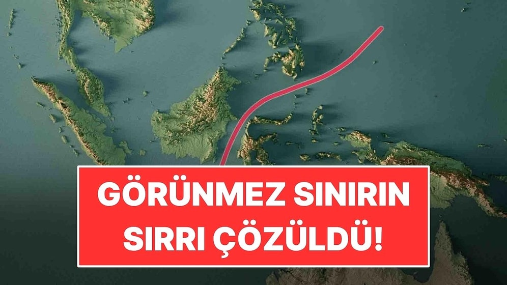 Hayvanların Milyonlarca Yıldır Aşamadığı Görünmez Sınırın Sırrı Çözüldü