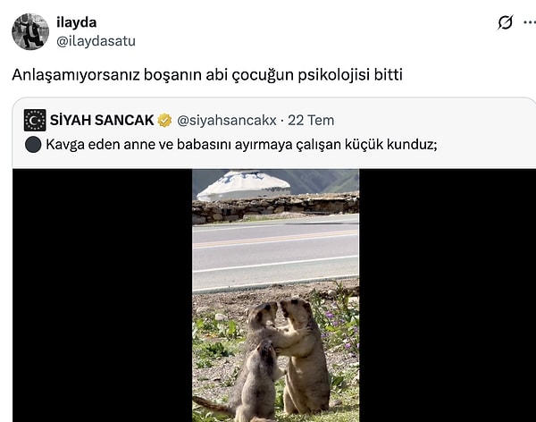 👇