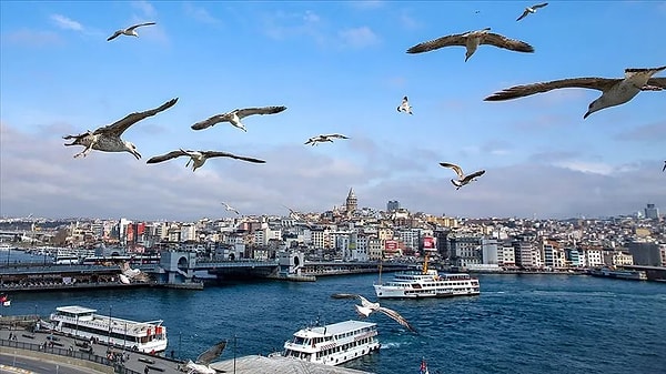 Istanbul's Richest Neighborhoods Revealed