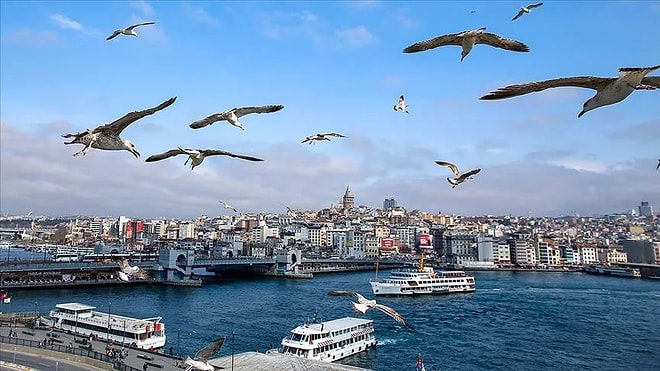 Istanbul's Richest Neighborhoods Revealed
