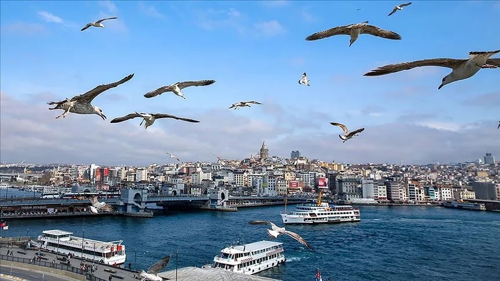 Istanbul's Richest Neighborhoods Revealed