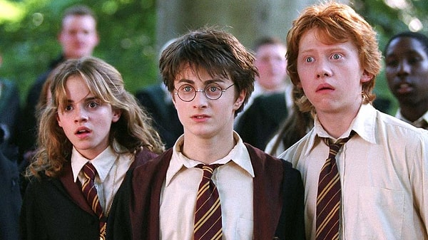 18. Harry Potter